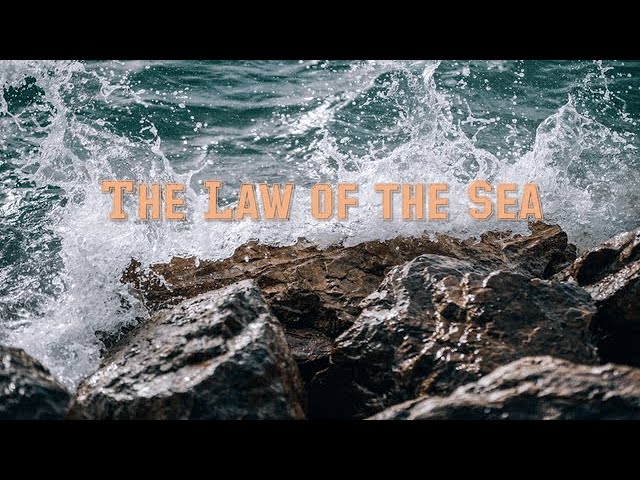 Freedoms of the High Seas