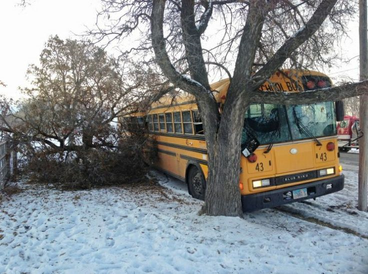 An experienced driver was driving a bus consisting of 200 people going to a marriage. During the night all the passengers in the bus were sleeping and all of a sudden the bus hit a big tree on the road side. 20 people died among whom 4 were children and two aged persons. Whether driver is liable? Discuss.