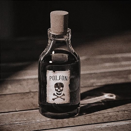 John and Sam agreed to murder Rosy by giving poison at regular intervals and accordingly administered person to Rosy. As a result Rosy died. What offence did they commits?