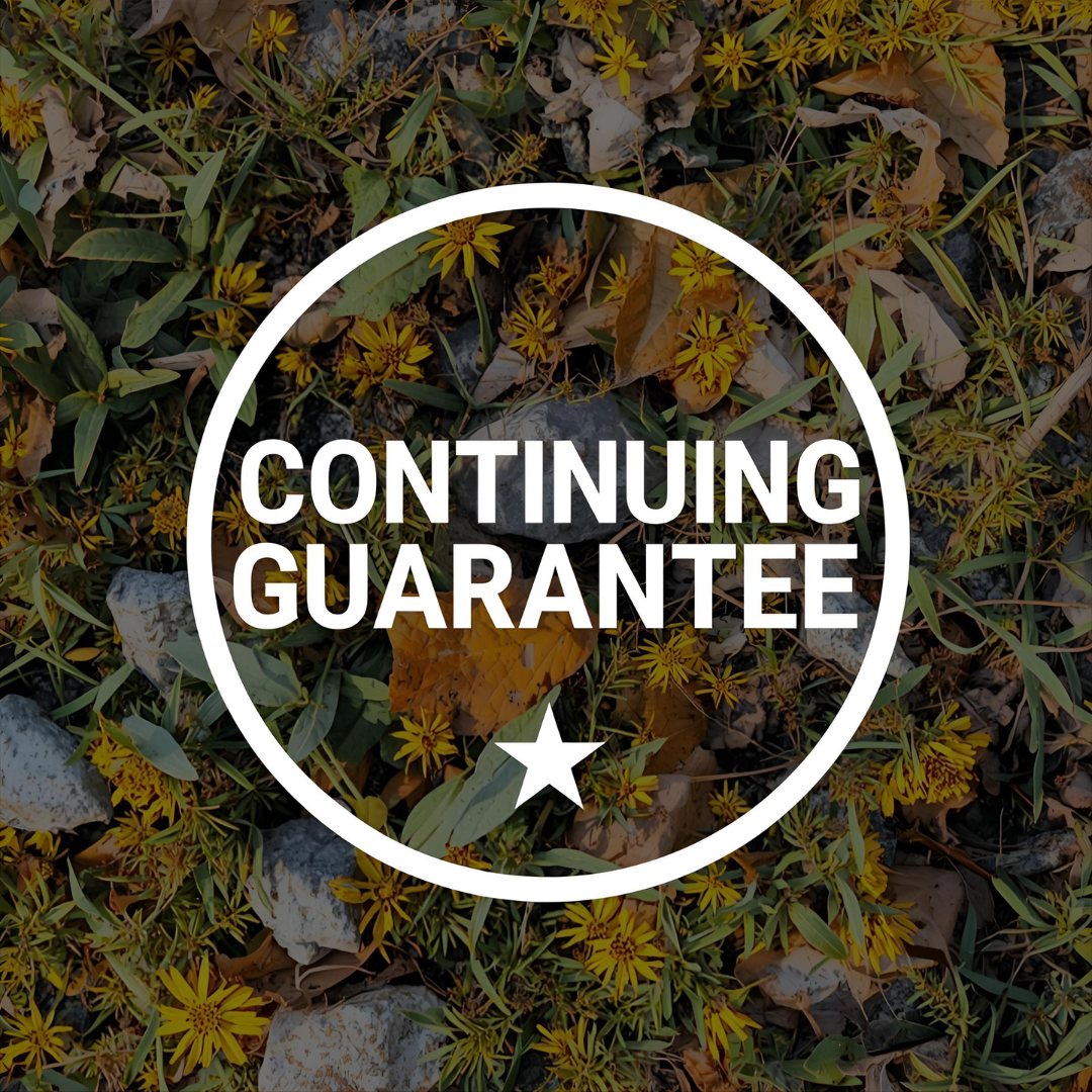 60. Continuing Guarantee.